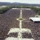 1982.05.13