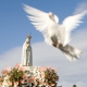 Cardinale lituano presiede il pellegrinaggio di Ottobre