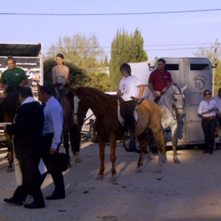 Passeio equestre a Fátima terminou com a bênção dos animais