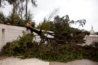 Temporal causa estragos no Santuário de Fátima
