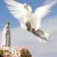 Em resposta ao apelo do Papa Francisco, o Santuário de Fátima convidou os peregrinos a viver um dia de jejum e de oração pela paz na Síria