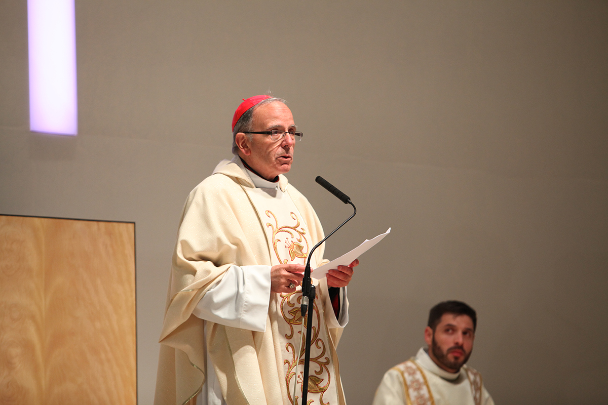 D. Manuel.jpg