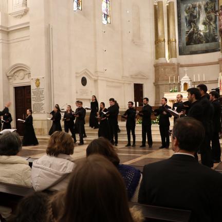 Alfredo Teixeira considera “Tropário para uma pastora de ovelhas mansas” uma obra «muito singular»