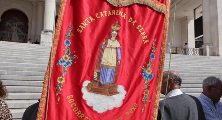 d0308048.jpg