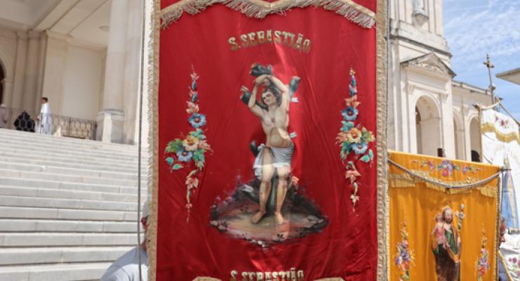 d0308063.jpg