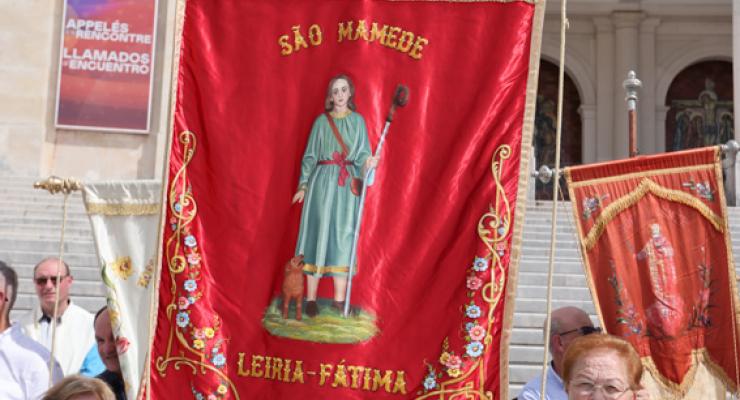 d0308096.jpg