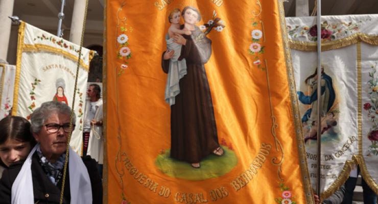 d0308163.jpg