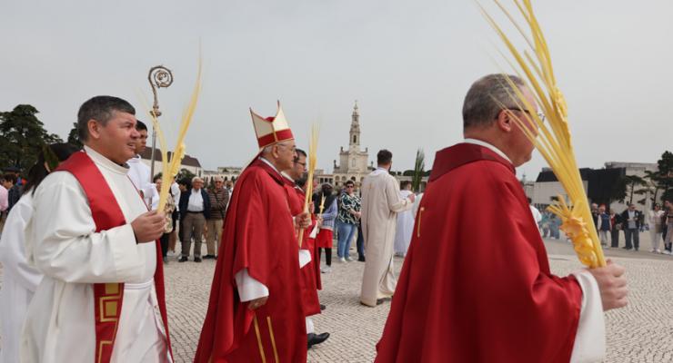 d0308350.jpg