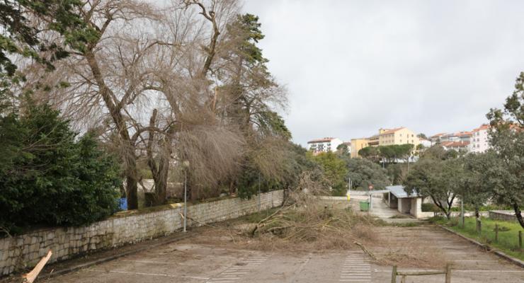 d0331407.jpg