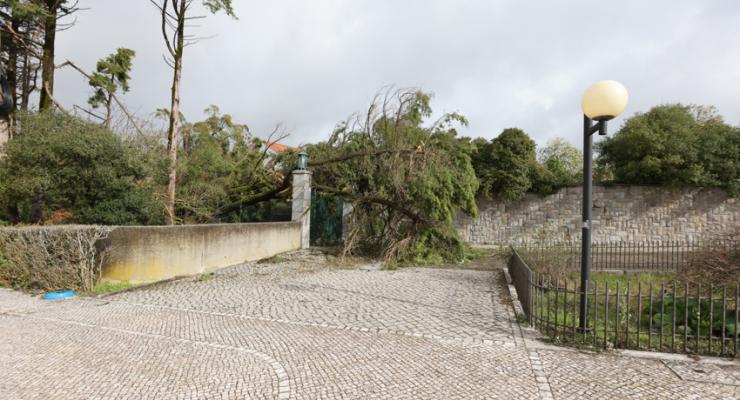 d0331427.jpg