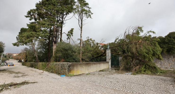 d0331428.jpg