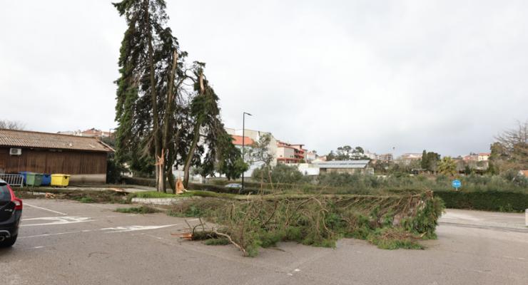 d0331430.jpg