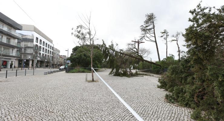 d0331530.jpg