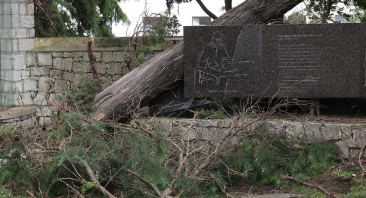 d0331540.jpg
