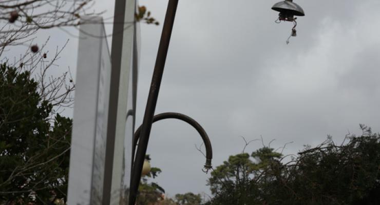d0331546.jpg