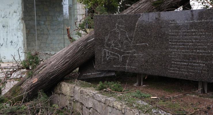 d0331552.jpg