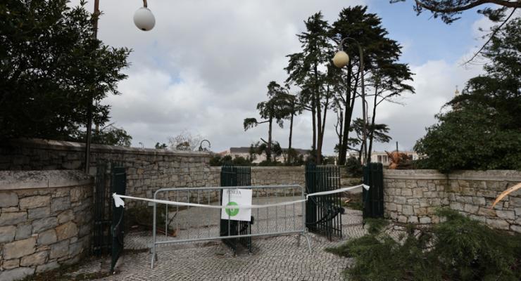 d0331558.jpg