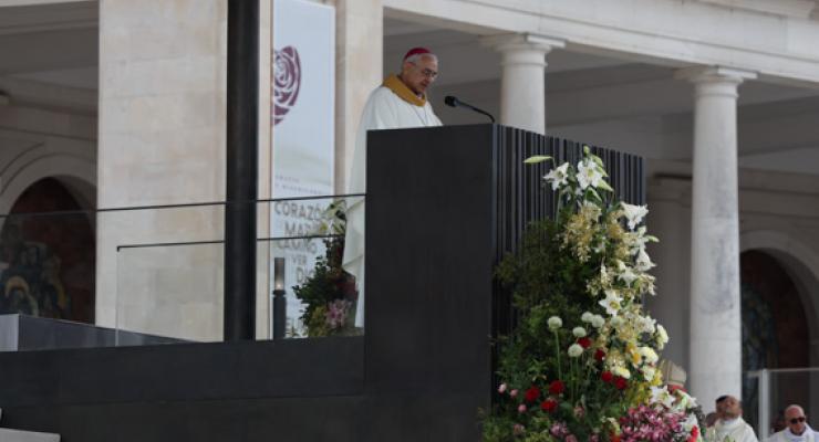 d0335334.jpg