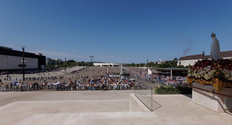 d0336335.jpg