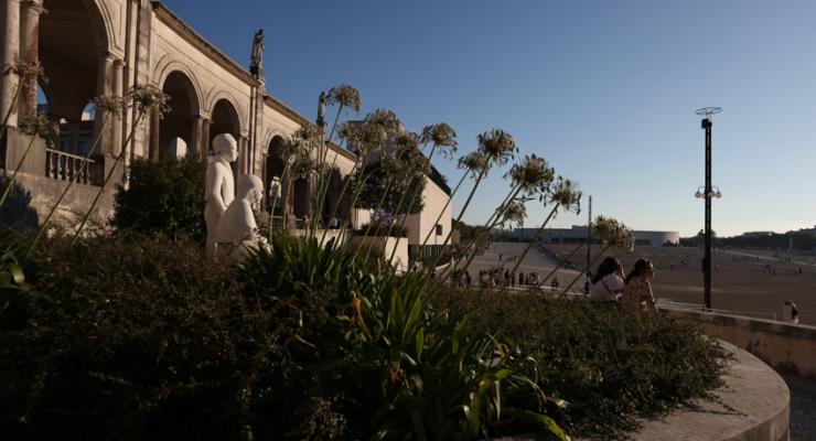 d0337766.jpg