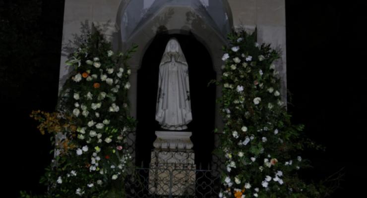 d0338395.jpg