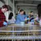Jovens voluntários vão melhorar condições de acolhimento aos peregrinos