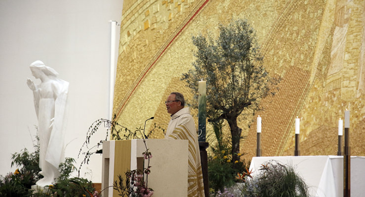 “Agradecemos a Deus o que nos foi dado através do Papa Francisco”