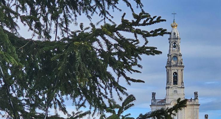 A Palavra, a Luz e a Vida: o essencial do Natal