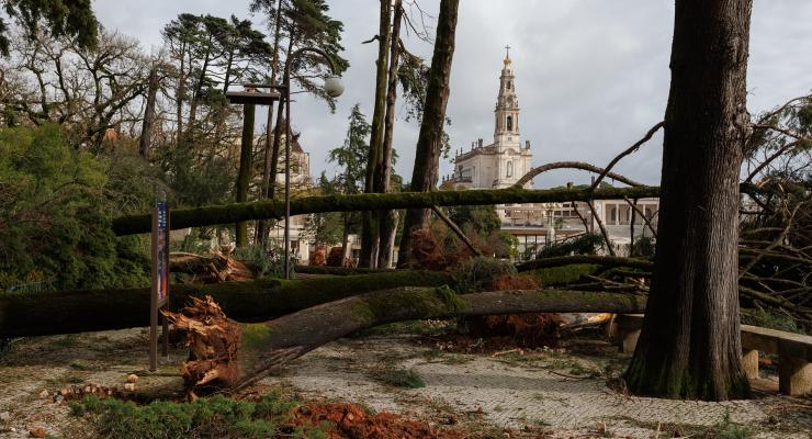Papa Leão XIV une-se à dor das vítimas da depressão Kristin