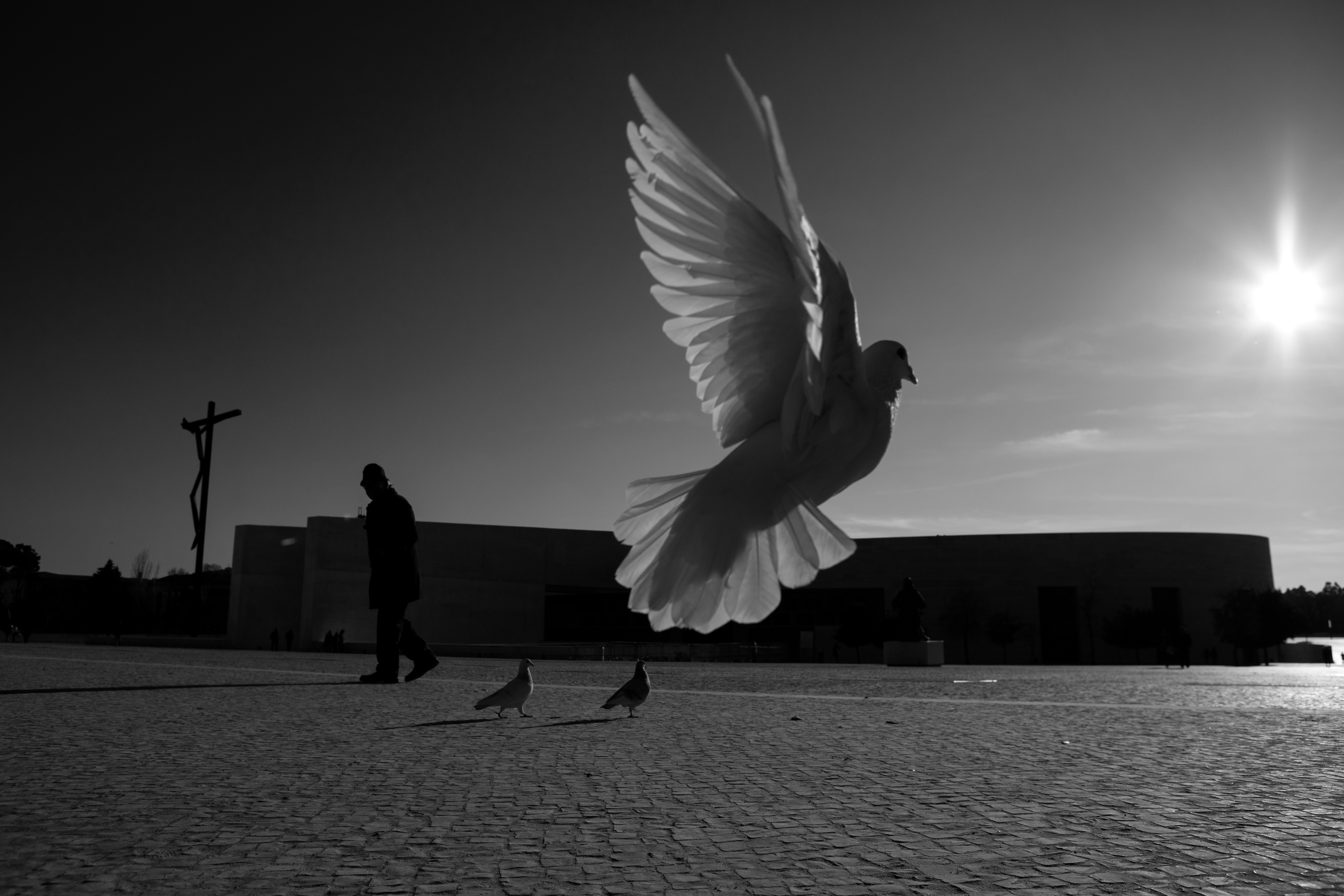 D0206317_bw.JPG