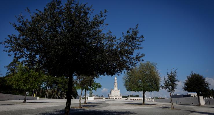 Vice-reitor do Santuário de Fátima considera que “correr do sepulcro para a vida é o destino da nossa humana condição”