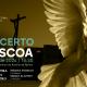 Concerto da Páscoa traz Orquestra Clássica do Centro a Fátima
