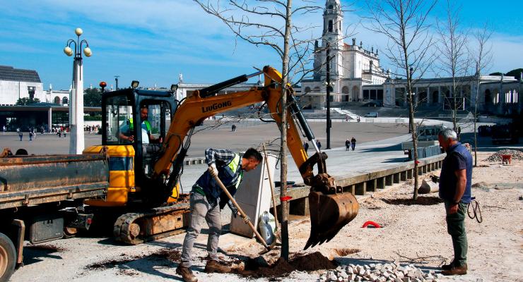 Santuário de Fátima inicia plantação de novas árvores no Recinto de Oração