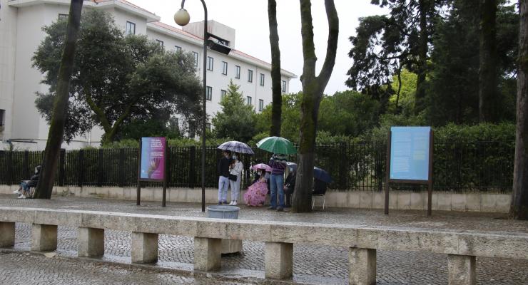 "Somos convidados a visitar os mais velhos, as pessoas que estão sozinhas” porque “esta é uma forma de partilha e de realizar milagres”, disse o padre Carlos Cabecinhas