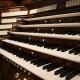 Organista Ricardo Toste será o protagonista do Recital VII na Basílica de Nossa Senhora do Rosário de Fátima